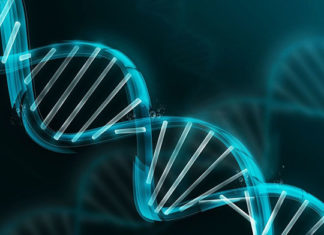 Na czym polega diagnostyka genetyczna?