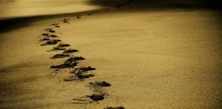 Ustka - wakacje 2010