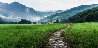 Najatrakcyjniejsze wycieczki biur podróży