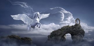 magia istnieje