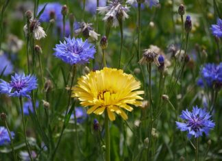 Za co odpowiada przekaźnik wycieraczek?