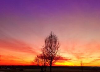 Na co zwrócić uwagę przy kupnie wycieraczek do samochodu?
