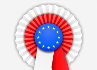 Czego symbolem jest kotylion?