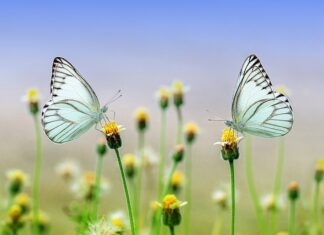 Jakie torebki modne wiosna lato 2023?